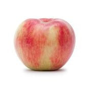 Honeycrisp Apple