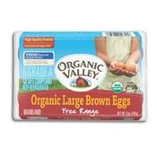 Organic Valley Organic Large Grade A Brown Eggs