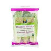 365 Organic Romaine