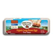 Organic Valley Organic Large Brown Eggs