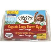 Organic Valley Omega 3 Large Eggs