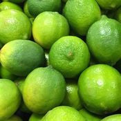 Mexico Limes